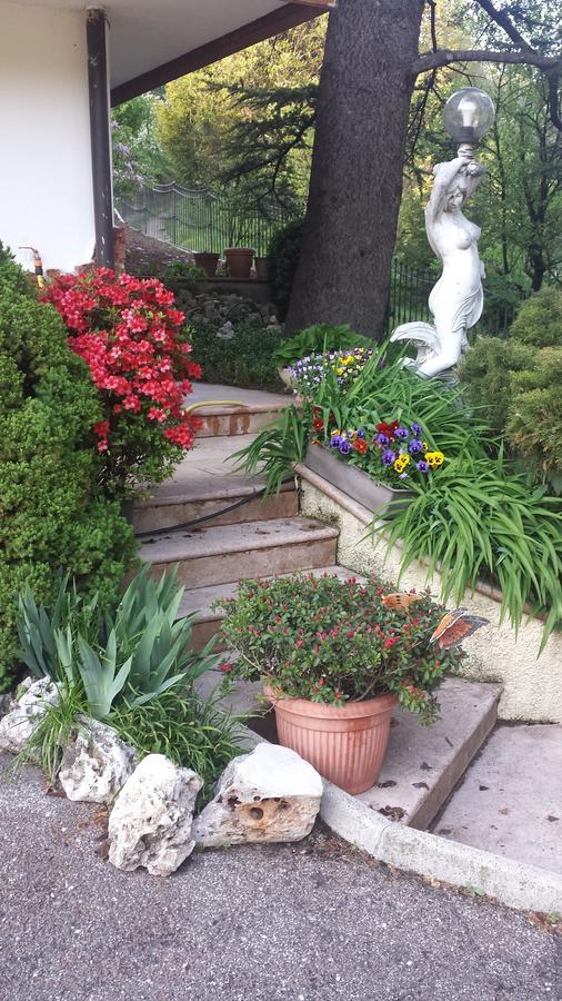B&B Al Cedro Sporminore Kültér fotó